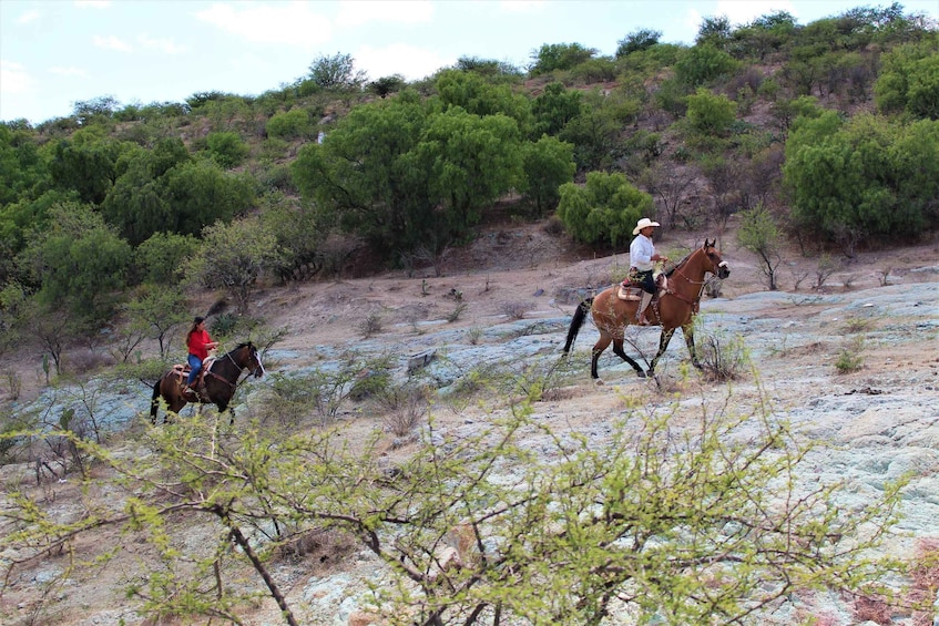 Picture 3 for Activity Guanajuato: horse ride tour