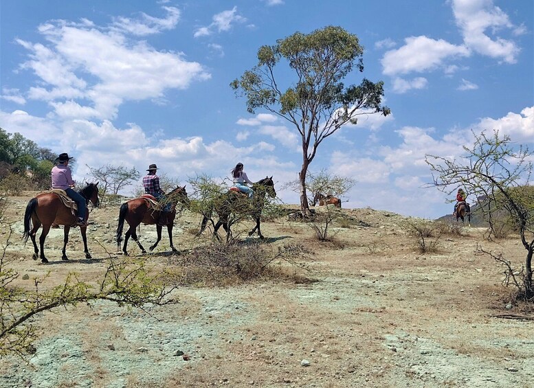 Picture 5 for Activity Guanajuato: horse ride tour