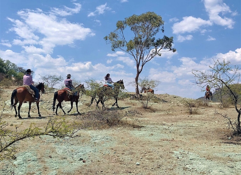 Picture 5 for Activity Guanajuato: horse ride tour