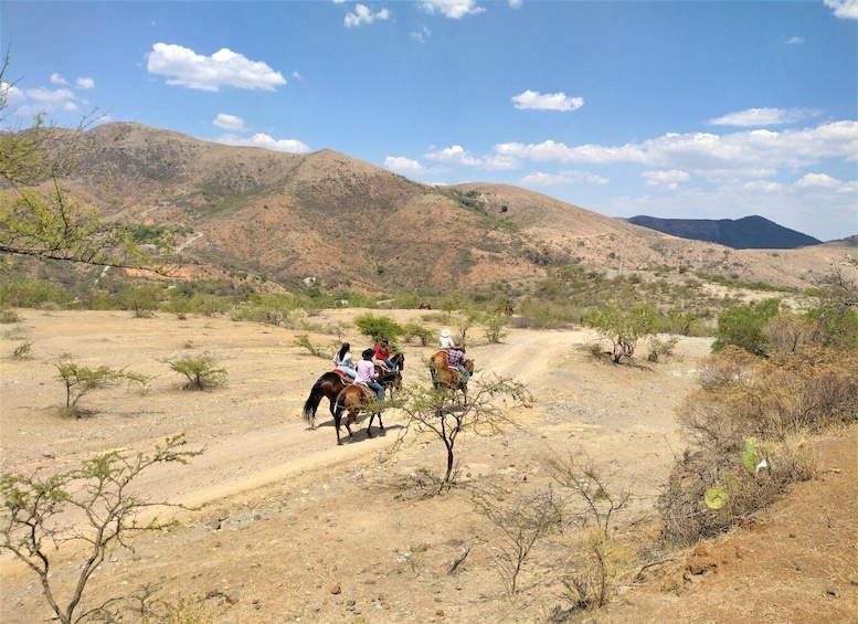 Picture 7 for Activity Guanajuato: horse ride tour
