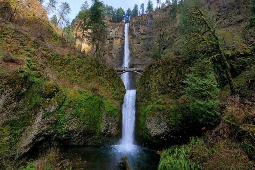 From Portland: Half-Day Columbia River Gorge Waterfalls Tour