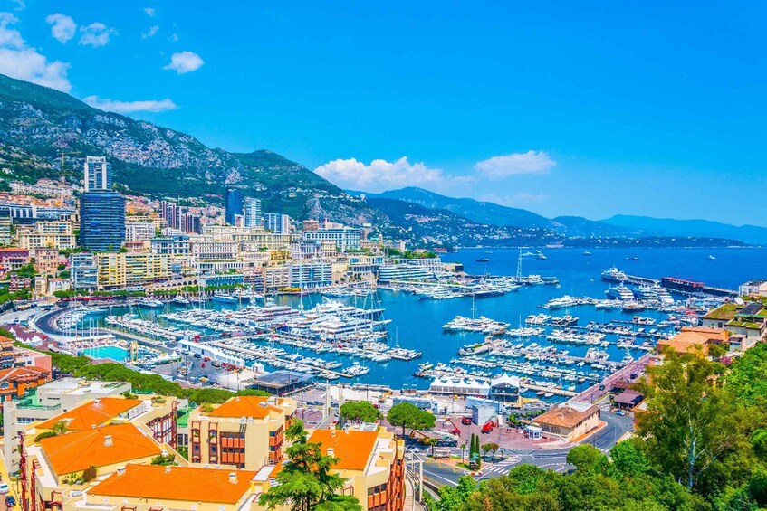 Picture 4 for Activity From Nice: Italian Riviera, Monaco, & Monte Carlo Tour