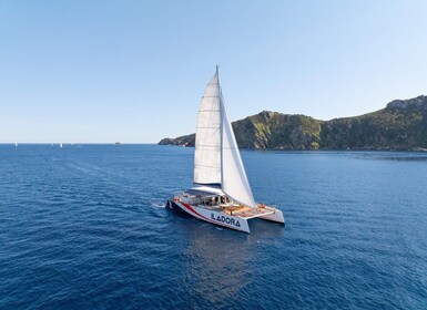 Hyères, Brégançon & Porquerolles : Full-Day cruise with Meal