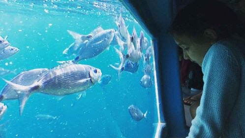 布拉瓦海岸：Cala Murtra 雙體船 遊輪 和水下景觀