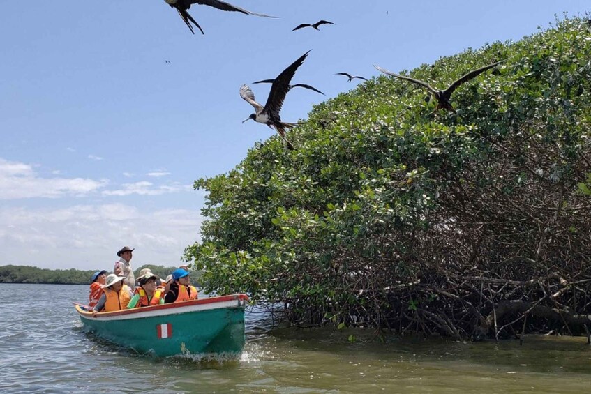 Tumbes: Mangrove National Sanctuary