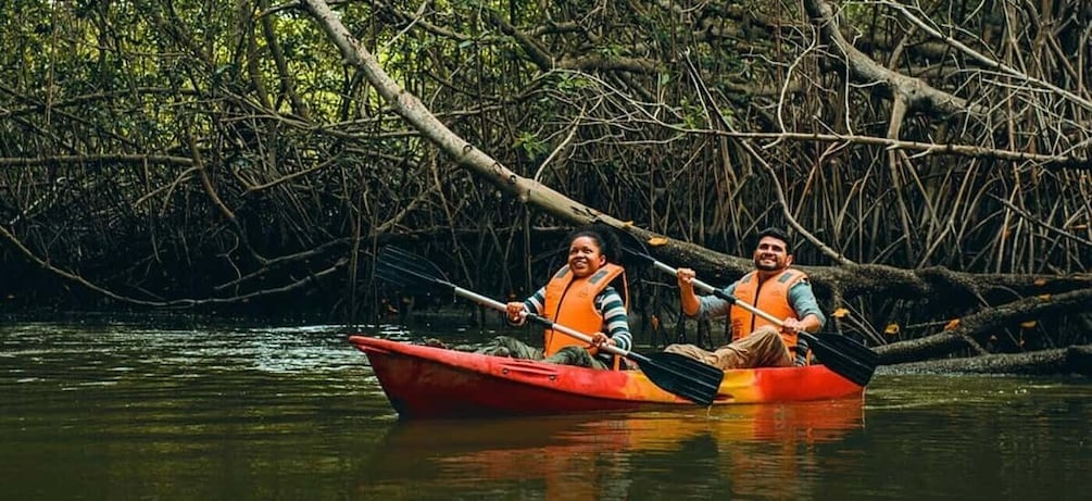 Picture 1 for Activity Tumbes: Mangrove National Sanctuary