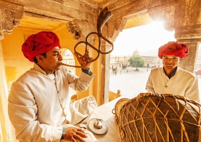 Desde Nueva Delhi: excursión privada de un día a Jaipur con guía