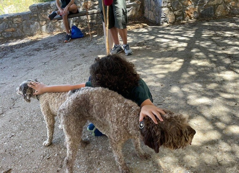 Picture 1 for Activity Truffle Hunting, Culinary & Wine Celebration from Elounda