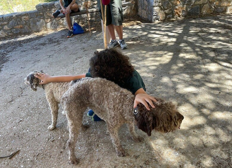 Picture 1 for Activity Truffle Hunting, Culinary & Wine Celebration from Elounda