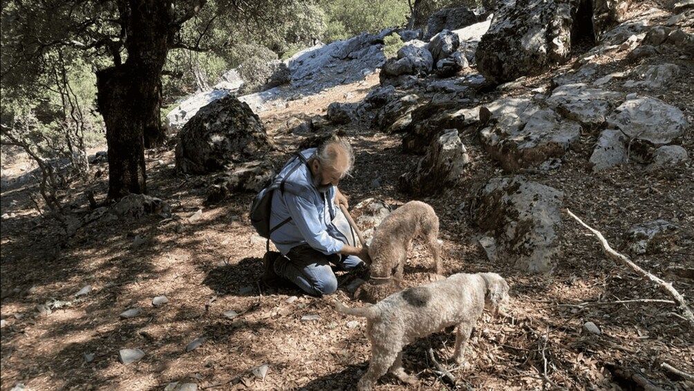 Picture 4 for Activity Truffle Hunting, Culinary & Wine Celebration from Elounda