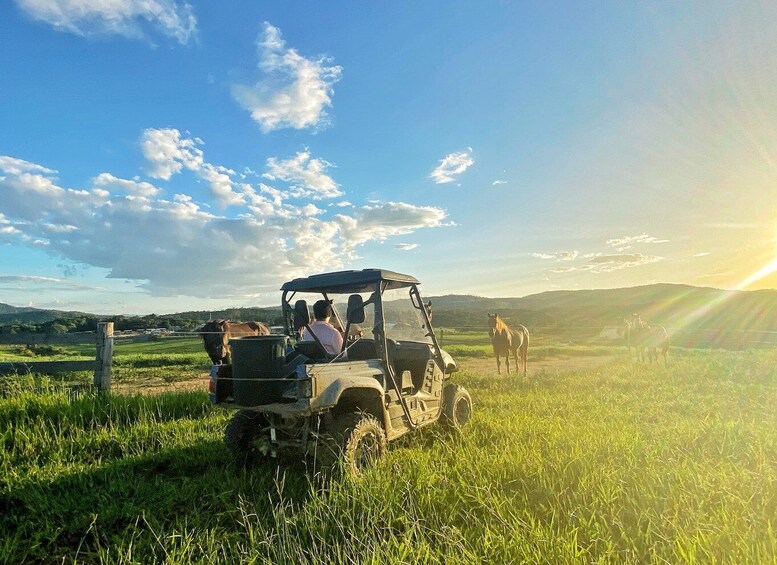 Picture 2 for Activity From Cairns: Kuranda Day Trip with Petting Zoo and Quad Ride