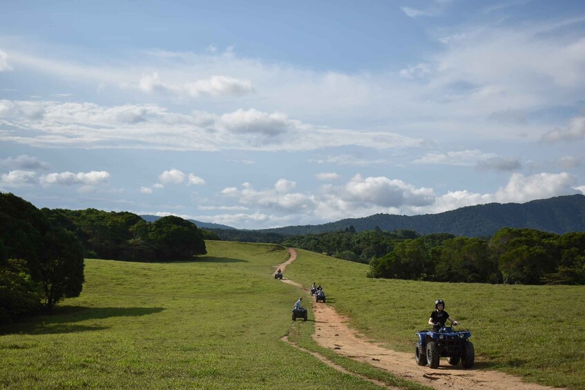 Picture 3 for Activity From Cairns: Kuranda Day Trip with Petting Zoo and Quad Ride