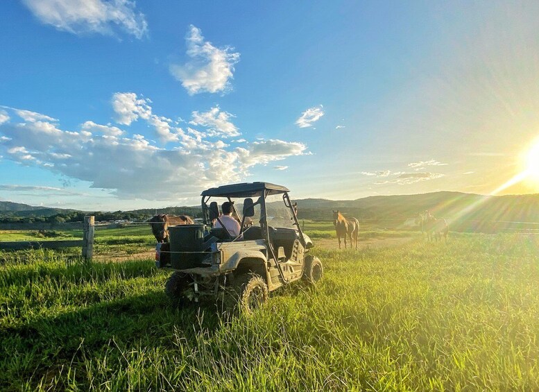 Picture 2 for Activity From Cairns: Kuranda Day Trip with Petting Zoo and Quad Ride