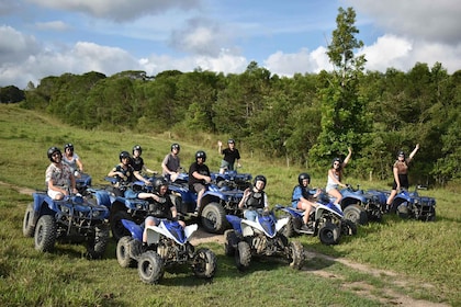 Desde Cairns: Excursión de un día a Kuranda con zoo de mascotas y paseo en ...