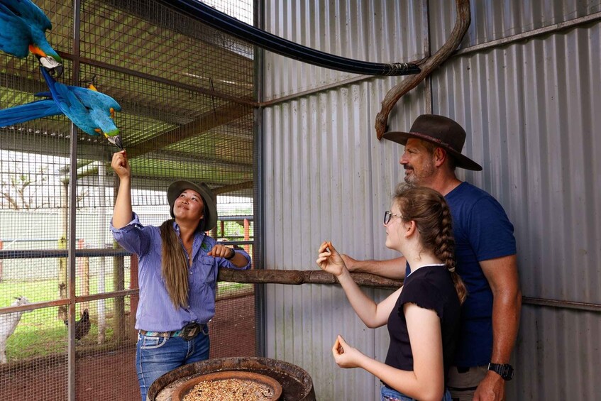 Picture 6 for Activity From Cairns: Kuranda Day Trip with Petting Zoo and Quad Ride