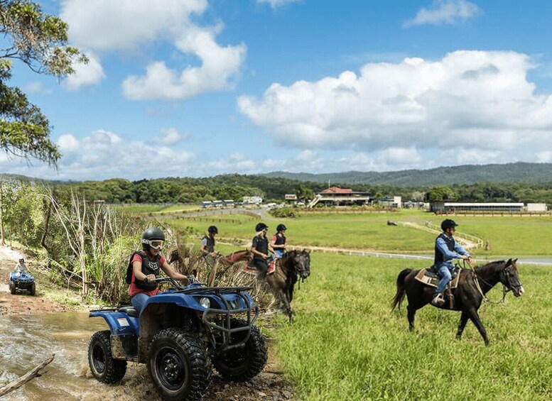 Picture 1 for Activity From Cairns: Kuranda Day Trip with Petting Zoo and Quad Ride