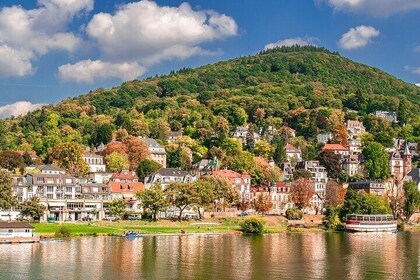 Private day trip: from Frankfurt to Heidelberg and back