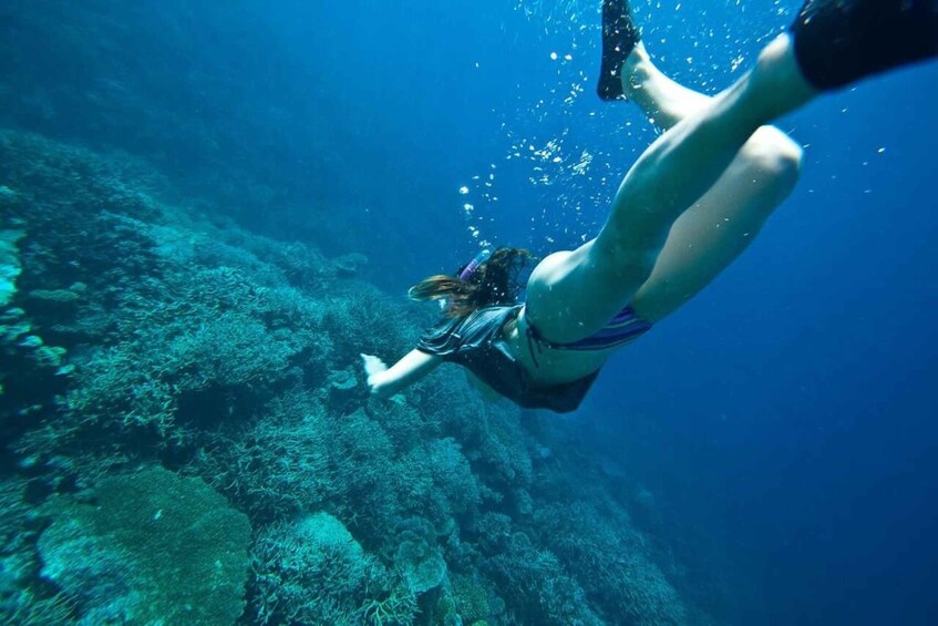 Picture 1 for Activity Peniche: Berlengas Island Caves Tour and Snorkeling