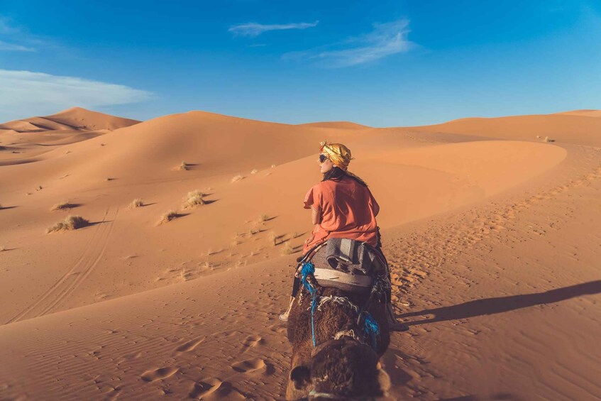 Picture 1 for Activity From Fez: 2-Days Desert Tour to Marrakech via Merzouga