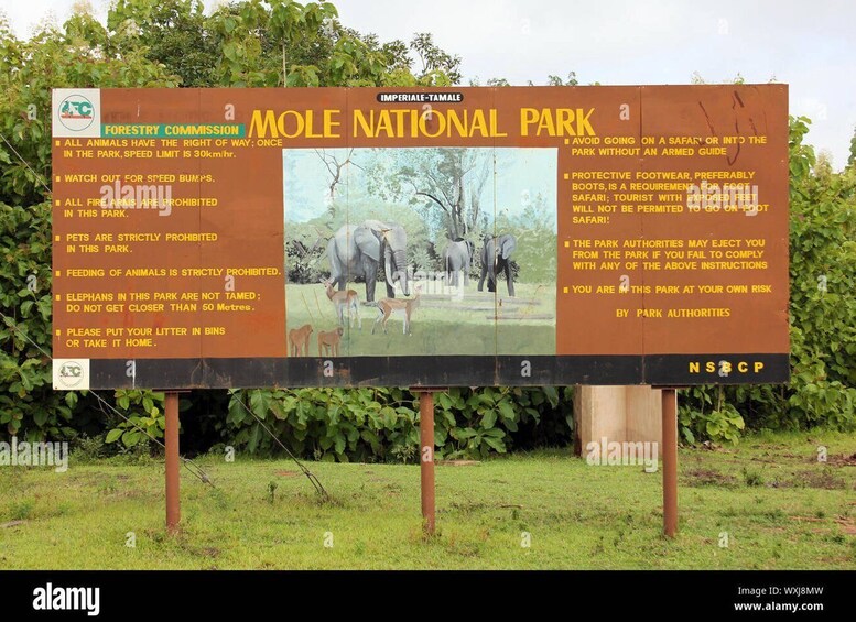 Picture 1 for Activity An Escape To Mole Park In The Northern Region, Ghana