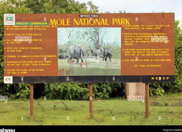 Picture 1 for Activity An Escape To Mole Park In The Northern Region, Ghana