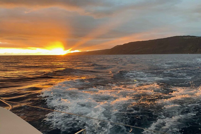 Picture 7 for Activity From Funchal: Cabo Girao Sunset Cruise with Drink