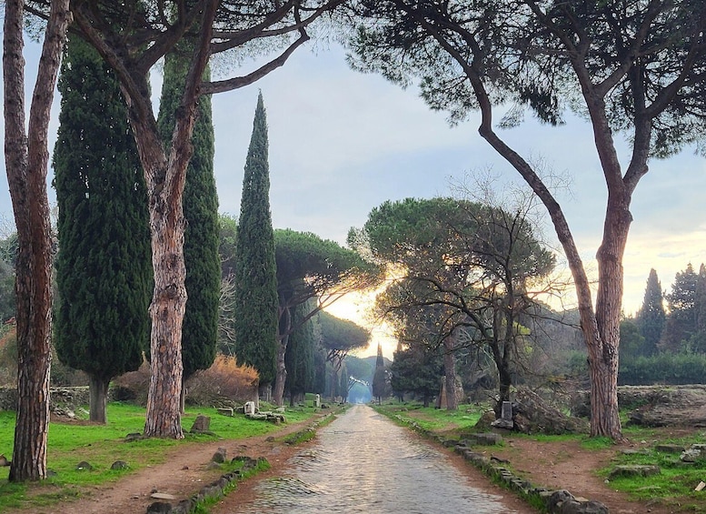 Picture 3 for Activity Rome: Hike along the ancient Appian Way