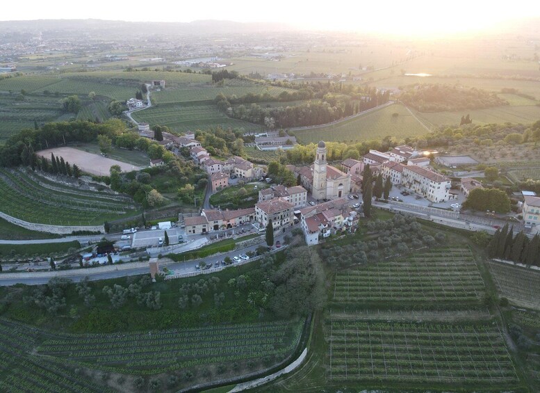 Picture 2 for Activity Valpolicella: Gourmet Evening Wine Tasting in Valpolicella