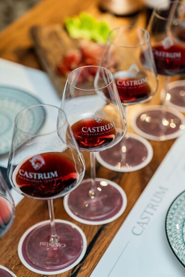 Picture 1 for Activity Valpolicella: Gourmet Evening Wine Tasting in Valpolicella