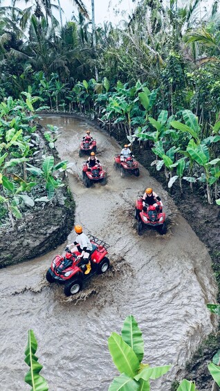 Picture 4 for Activity Ubud: Gorilla Face ATV Quad Bike Adventure with Lunch