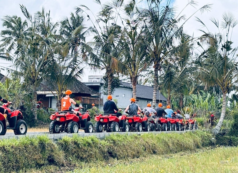Picture 3 for Activity Ubud: Gorilla Face ATV Quad Bike Adventure with Lunch