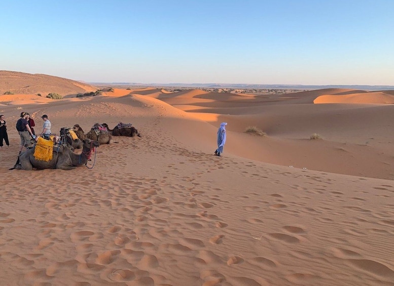 Picture 19 for Activity National park & Sahara Desert with Lunch and Camel Ride