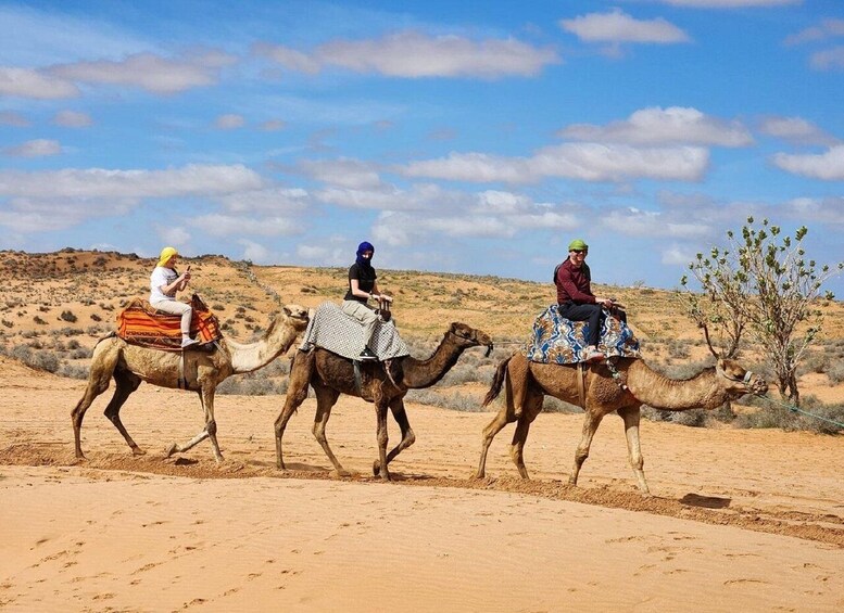 Picture 20 for Activity National park & Sahara Desert with Lunch and Camel Ride