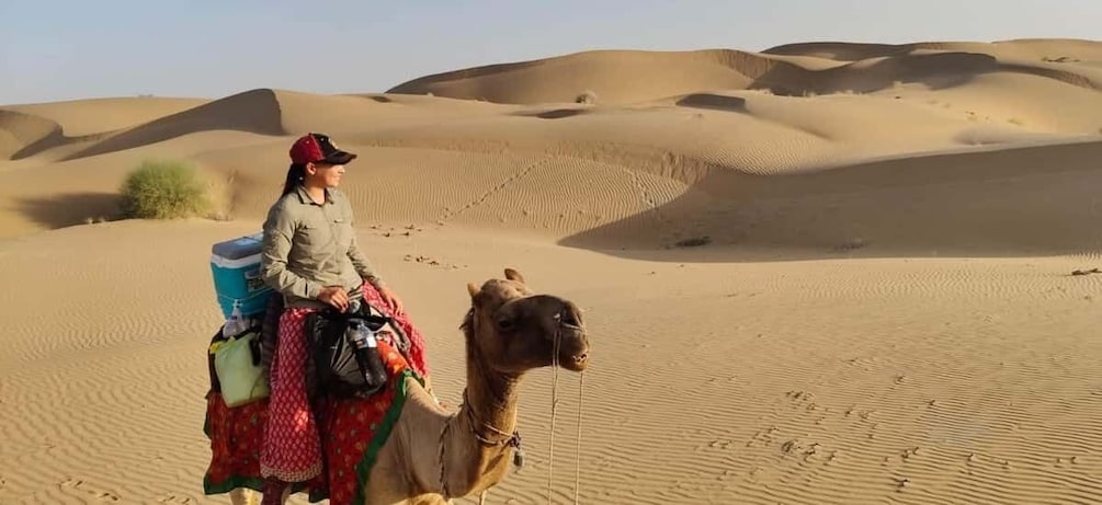 Picture 22 for Activity Wonderlust Camel Safari with Rumi Caravan of Thar Desert