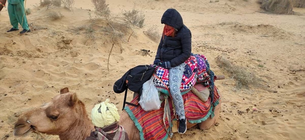 Picture 6 for Activity Wonderlust Camel Safari with Rumi Caravan of Thar Desert