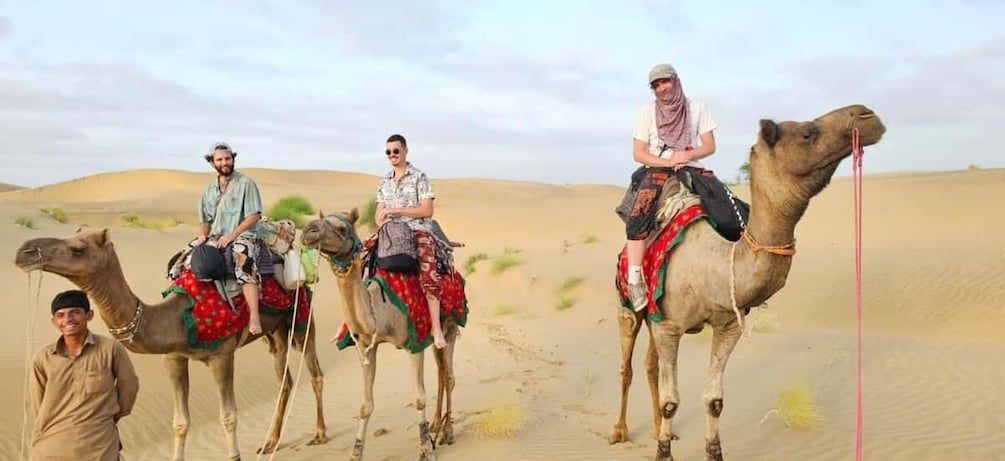Picture 21 for Activity Wonderlust Camel Safari with Rumi Caravan of Thar Desert