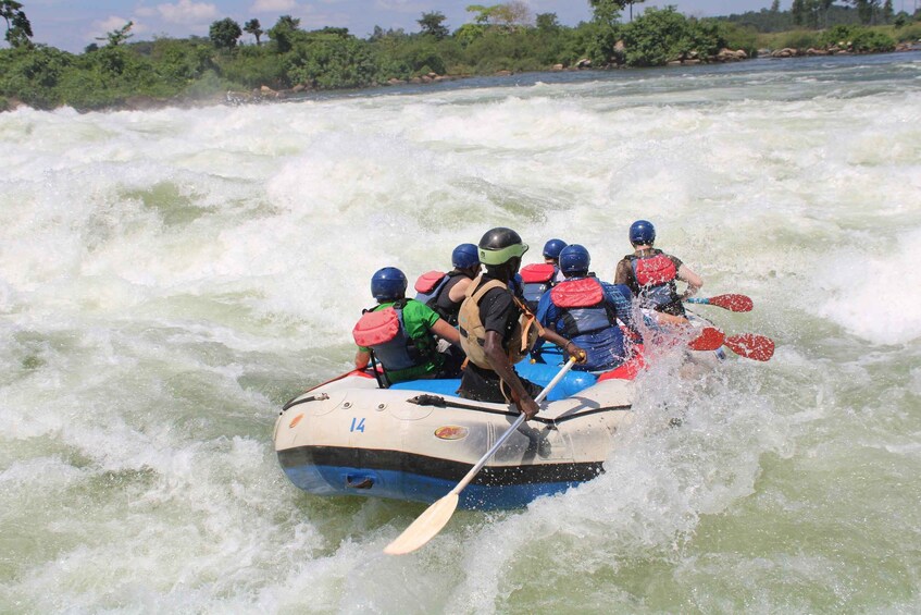 Picture 16 for Activity 1 Day Uganda White Water Rafting Trip from Entebbe/Kampala