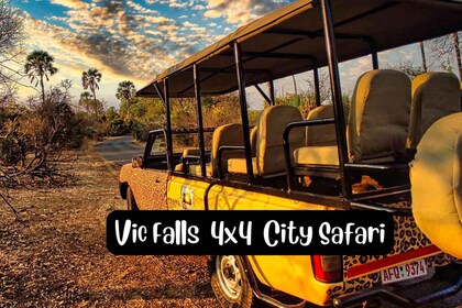 Victoria Falls: 4x4 Victoria Falls Stadt Safari