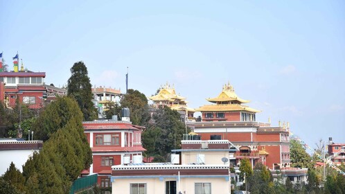 Retiros de 1 mes en un monasterio budista en Namobuddha