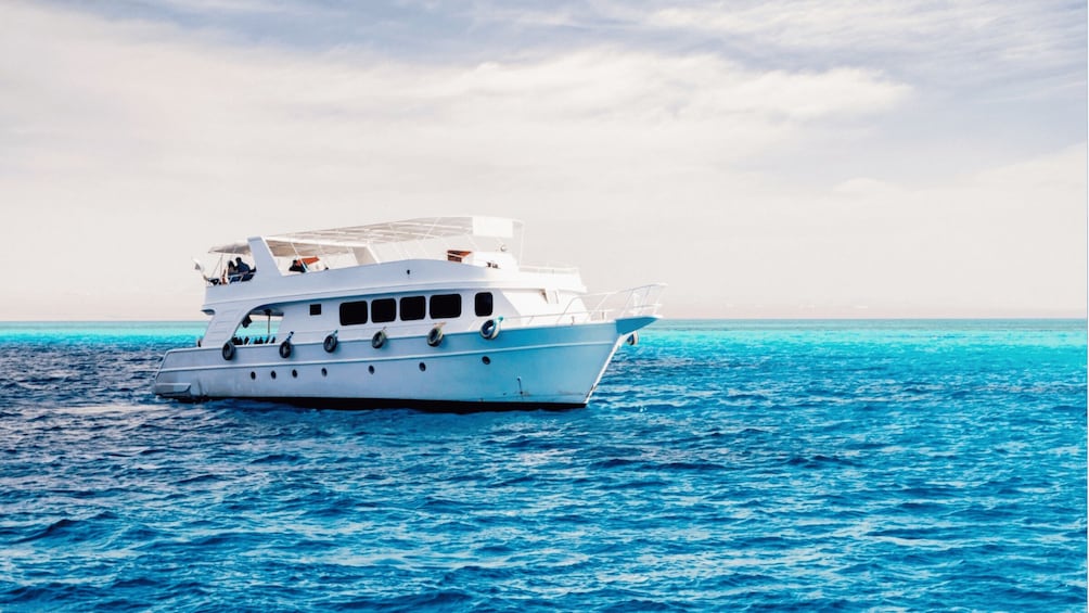 Picture 11 for Activity From Sharm: Ras Muhammed & White Island By Boat & intro Dive