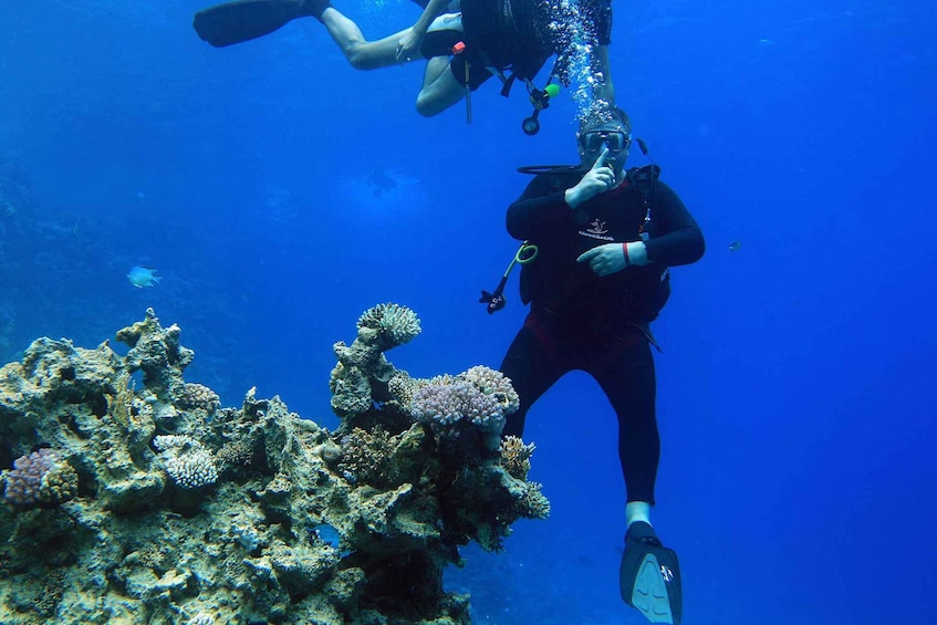 Picture 1 for Activity Sharm El Sheikh: Diving Day Trip by Boat at Ras Mohamed