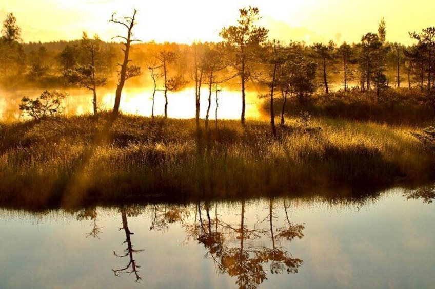 Sunrise at Kemeri National Park