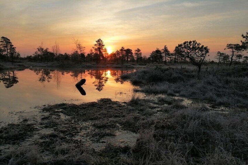 Sunrise at Kemeri National Park