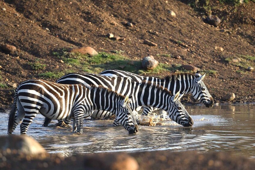 Picture 1 for Activity Exclusive 5 Days Lake Naivasha, Lake Nakuru and Maasai Mara