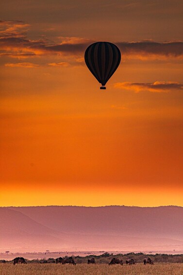 Picture 4 for Activity Exclusive 5 Days Lake Naivasha, Lake Nakuru and Maasai Mara