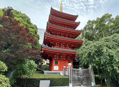 Fukuoka: Customized Private Tour