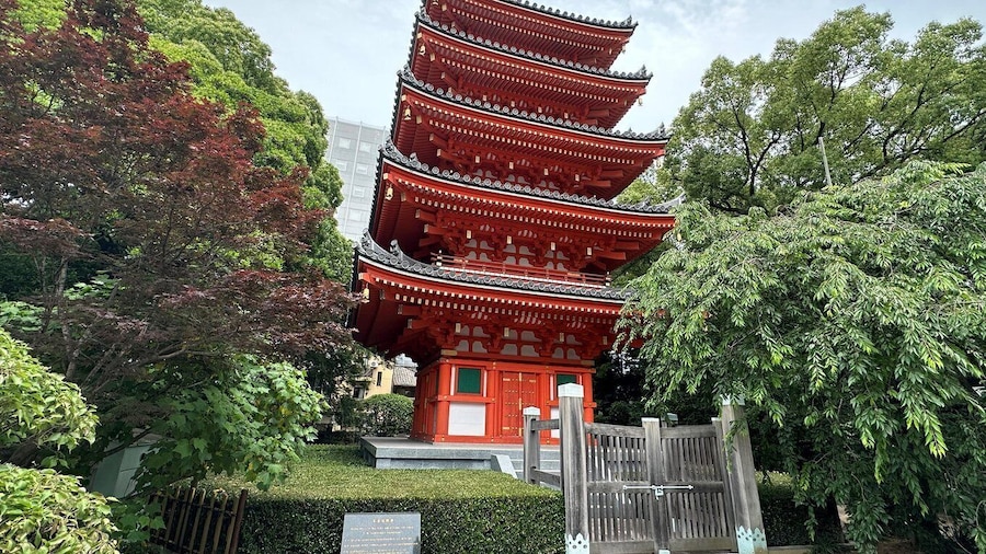Fukuoka: Customized Private Tour