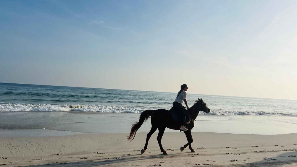 Picture 2 for Activity Salalah: Horse Riding by the Beach