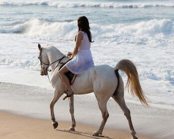 Salalah: Horse Riding by the Beach