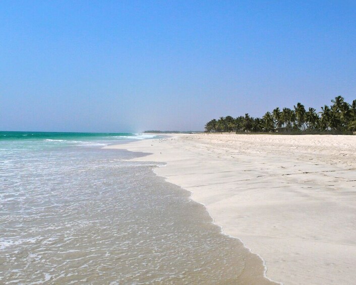 Picture 4 for Activity Salalah: Horse Riding by the Beach